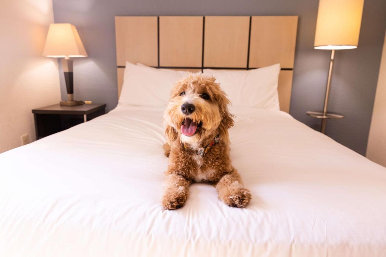 Sonesta Simply Suites Chicago Libertyville Bagian luar foto